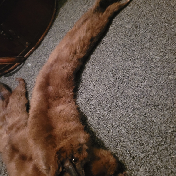 Chic Brown Fur Accessory Collection - Picture 8 of 10